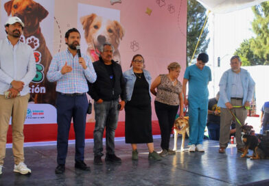 Del abandono al abrazo: 35 “perros peregrinos” encuentran familia en la GAM