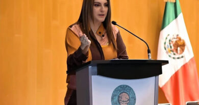 Próximo lunes 23 febrero se analiza en comisiones la reforma para reducir la jornada laboral semanal a 40 hrs: Dip. Maiella Gómez