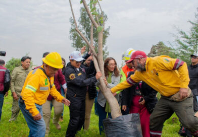 Iztapalapa, reconocida internacionalmente como “Ciudad Árbol del Mundo”