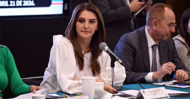 Avanza leyes secundarias de la jornada laboral de 40 hrs en Cámara de Diputados: Dip. Fed. Maiella Gómez Maldonado