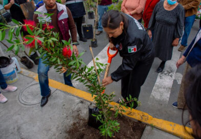 Nancy Núñez reforesta Azcapotzalco con “Aquí sí se Planta”