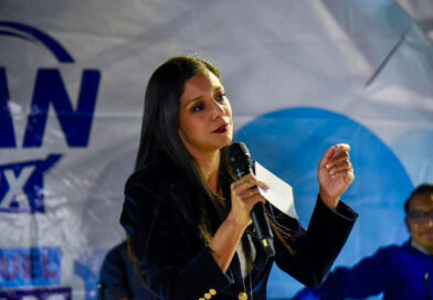 Demanda Luisa Gutiérrez conocer bitácora de obras y metas por modernización del tren ligero
