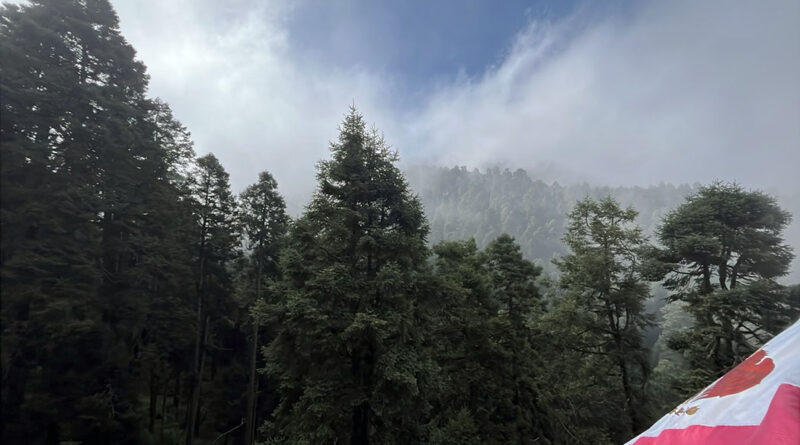 PVEM llama a reflexionar y actuar en favor de la naturaleza