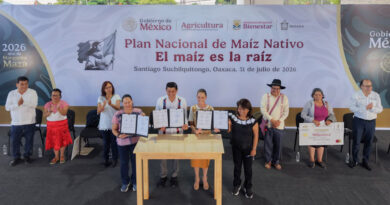 El maíz es la raíz de México; el objetivo es conservar la semilla y generar bienestar: Presidenta Claudia Sheinbaum entrega apoyos del programa a sembradores de Oaxaca