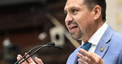 PAN propone esquema mixto donde el Gobierno asociado con empresas genere la industria de reciclaje de sargazo para generar materiales de construcción