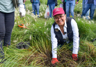 Encabeza Aleida Alavez jornada Nacional de reforestación en iztapalapa