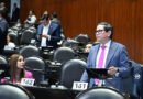 224 mil mdp a obras “basura”: Chimal García plantea comisión legislativa para evaluar la rentabilidad del tren Maya, AIFA, Mexicana, Megafarmacia, etc.