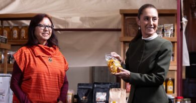 “Sembrando Vida brinda bienestar, restauración ecológica y conservación: Presidenta Claudia Sheinbaum; la meta es beneficiar a 450 mil sembradores y plantar mil 500 millones de árboles y plantas”